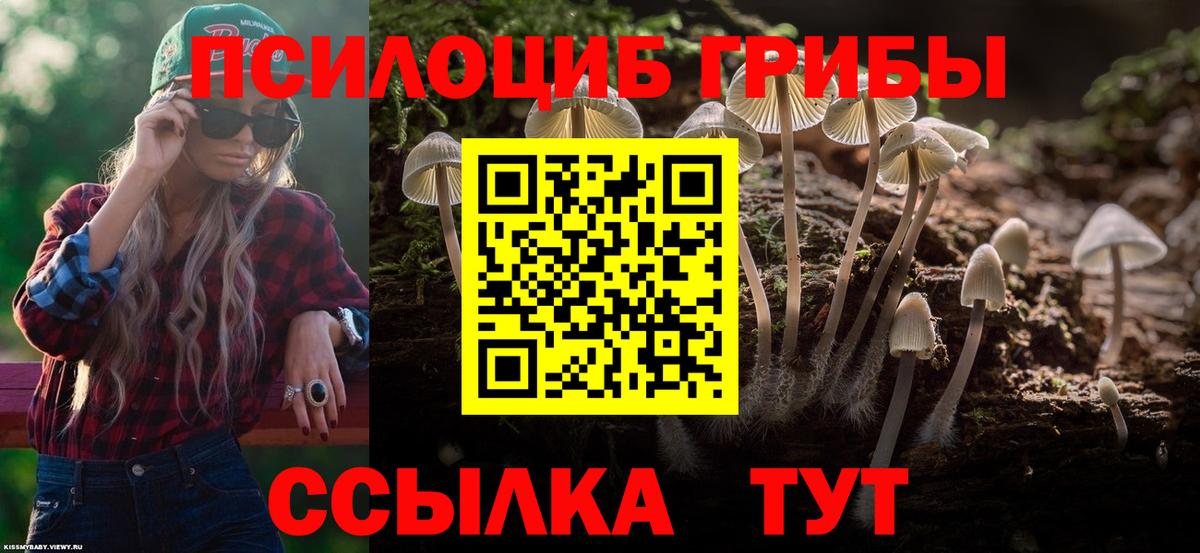 Темрюк  Псилоцибиновые грибы Psilocybine cubensis  Вход с VPN 