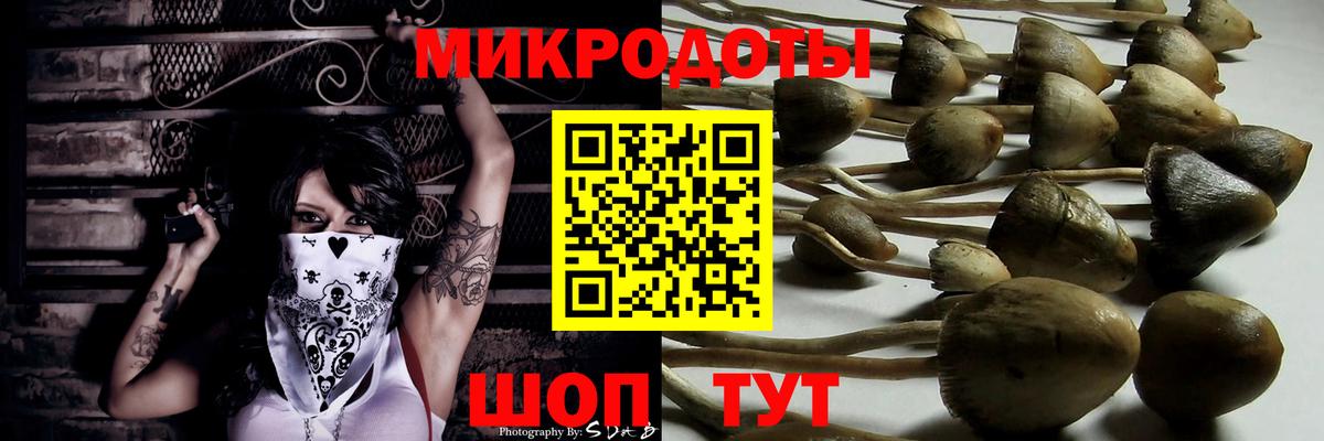 Галлюциногенные грибы Cubensis Темрюк